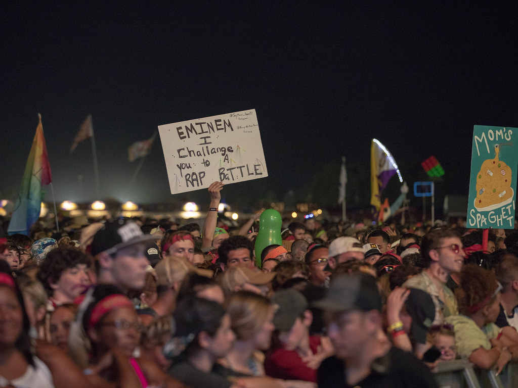 Bonnaroo and Firefly 2018 Galleries